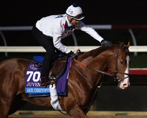 Jack Christopher Horses and horsemen training toward the Breeders’ Cup at Del Mar on Nov. 1, 2021. 