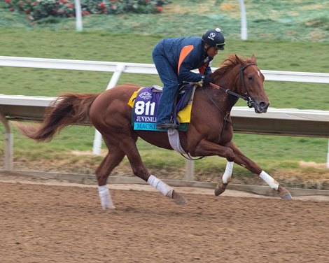 Mackinnon<br>
Horses and horsemen training toward the Breeders’ Cup at Del Mar on Nov. 2, 2021.