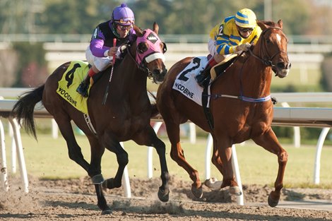 Toronto On, November 7, 2021.Woodbine Racetrack.Jockey Rafael Hernandes Pink Lloyd to victory in the $100,000 dollar Ontario Jockey Club Stakes for owner Entourage Stable and trainer Robert Tiller.Pink Lloyd captures his 25th stake race, covering the 6 furl dash in 1.09.2. Woodbine/ Michael Burns Photo