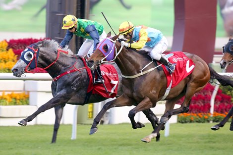 The Frankie Lor-trained Reliable Team, ridden by Derek Leung, wins the BOCHK Jockey Club Cup at Sha Tin Racecourse today