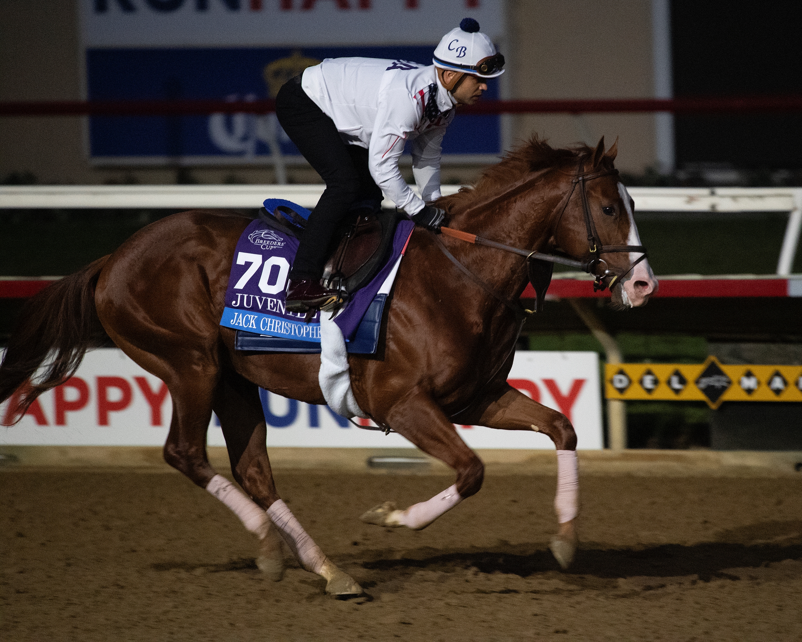 Jack Christopher a Dream Come True for Owner Bakke - TrueNicks.com