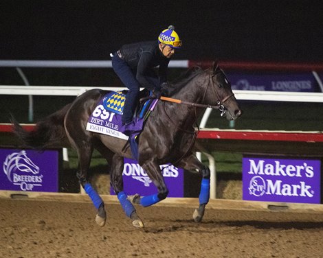 Eight Rings<br>
Horses and horsemen training toward the Breeders’ Cup at Del Mar on Nov. 3, 2021. 