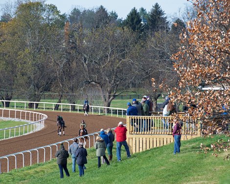 WinStar Training Center Open House with Keeneland November Horses of Racing Age Hips available for preview.<br>
Horses, people and scenes at the Keeneland November Breeding Stock Sale in Lexington, Ky., on Nov. 16, 2021. 