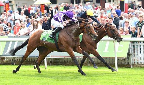 (L) Japan (Ryan Moore), wins The Juddmonte International Stakes from (R) Crystal Ocean (James Doyle).