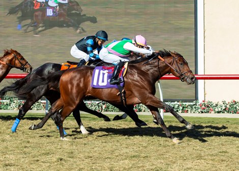 Juddmonte&#39;s Verbal and jockey Jose Ortiz, outside, overpower Cabo Spirit (Victor Espinoza), left, and Barsabas (Tyler Baze), inside, to win the Grade III, $100,000 Cecil B. DeMille Stakes, Sunday, November 27, 2021 at Del Mar Thoroughbred Club, Del Mar CA.<br><br />
&#169; BENOIT PHOTO