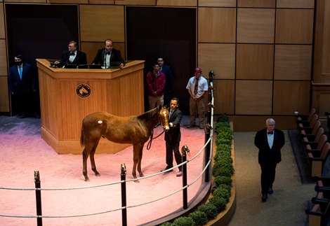 Tuesday July 2nd – 60th Anniversary Special Sale of Weanlings