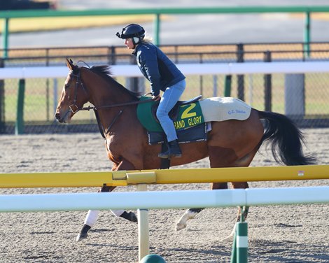 Grand Glory preparing for the 2021 Japan Cup, November 26, 2021