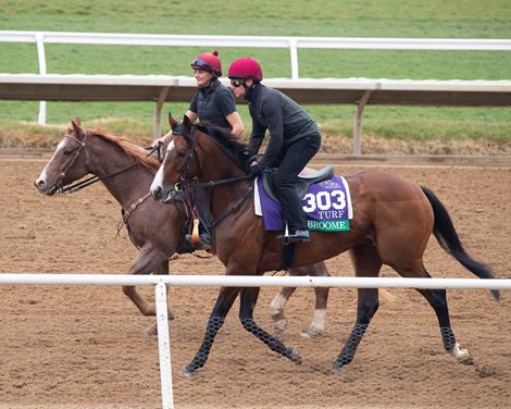 Broome<br><br />
Horses and horsemen training toward the Breeders’ Cup at Del Mar on Nov. 2, 2021. 