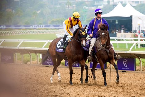Twilight Gleaming (IRE) Leads All the Way to Win Breeders' Cup Juvenile  Turf Sprint