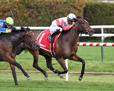 Gun Boat - Maiden Win, Aqueduct November 11, 2021