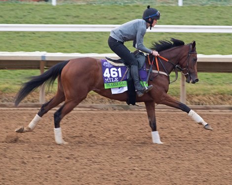 Pearls Galore<br>
Horses and horsemen training toward the Breeders’ Cup at Del Mar on Nov. 2, 2021. 