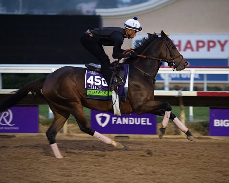 Blowout<br>
Horses and horsemen training toward the Breeders’ Cup at Del Mar on Nov. 2, 2021. 