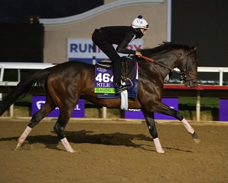 Raging Bull<br><br />
Horses and horsemen training toward the Breeders’ Cup at Del Mar on Nov. 2, 2021. 