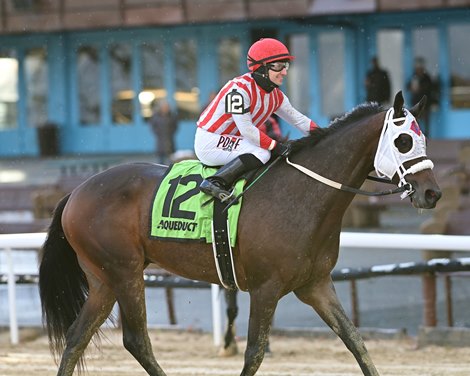 Mandate wins the 2021 Artie Schiller Stakes at Aqueduct