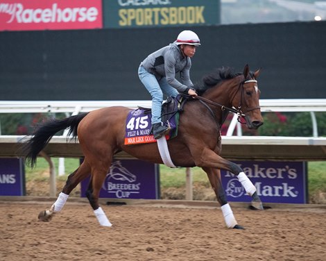 War Like Goddess<br><br />
Horses and horsemen training toward the Breeders’ Cup at Del Mar on Nov. 2, 2021. 