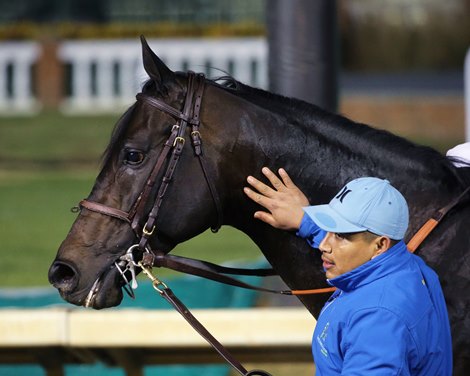 Maxfield wins the 2021 Clark Stakes at Churchill Downs