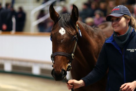 Lot 915 Frankel (GB) / Whatami (GB) B.C. (GB)     Furnace Mill Stud    M V Magnier    675,000   <br>
Tattersalls December Foal Sale<br>
26/11/21
