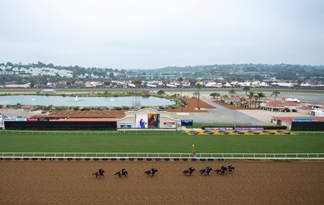 Aidan O&#39;Brien&#39;s string canter round the main track at Del Mar racecourse in Southern California 2.11.21
