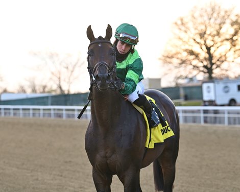 Serve the King wins the Red Smith Stakes Saturday, November 20, 2021 at Aqueduct