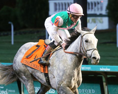 Obligatory wins 2021 Chilukki Stakes at Churchill Downs