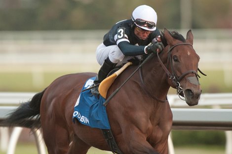 Jockey Patrick Husbands guides Skygaze to victory for owner Tracy Farmer and trainer Mark Casse in the $150,000 dollar Maple Leaf Stakes at Woodbine, covering the 1Mi.1/4 in 2.03.3