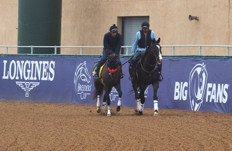 (L-R): Hot Rod Charlie and Lava Man<br>
Horses and horsemen training toward the Breeders’ Cup at Del Mar on Nov. 3, 2021. 