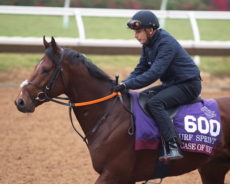 A Case of You<br><br />
Horses and horsemen training toward the Breeders’ Cup at Del Mar on Nov. 4, 2021.
