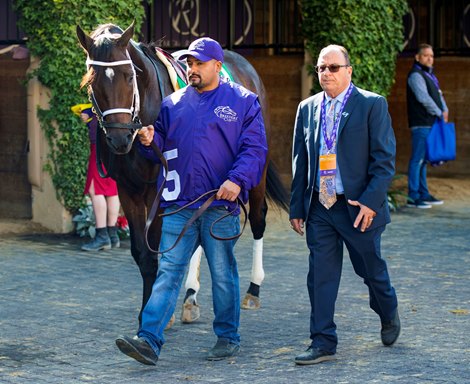 Aloha West and Wayne Catalano in the paddock before the Sprint (G1) at Del Mar on November 6, 2021.