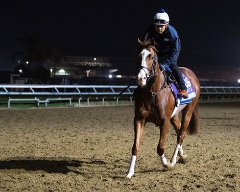 Jack Christopher<br>
Horses and horsemen training toward the Breeders’ Cup at Del Mar on Nov. 2, 2021. 