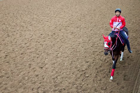 Loves Only You trains at Del Mar on November 2, 2021.