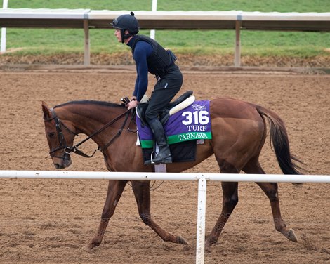 Tarnawa<br>
Horses and horsemen training toward the Breeders’ Cup at Del Mar on Nov. 2, 2021. 