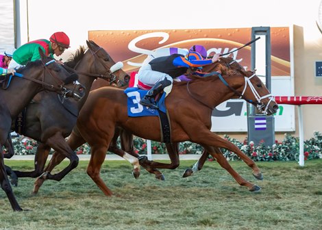 Tezzaray and jockey Irad Ortiz, Jr., outside, outleg, Awake At Midnyte, inside, and Toeris (Abel Cedillo), left (red cap), to win the Grade III, $100,000 Jimmy Durante Stakes, Saturday, November 27, 2021 at Del Mar Thoroughbred Club, Del Mar CA.<br><br />
&#169; BENOIT PHOTO