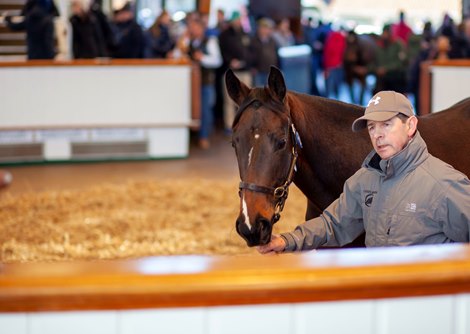 Lot 22, 2021 Tattersalls December Yearling Sale