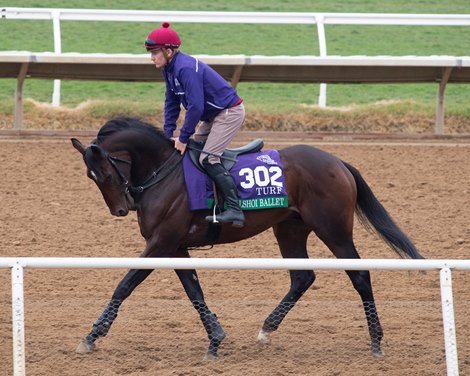 Bolshoi Ballet Horses and horsemen training toward the Breeders’ Cup at Del Mar on Nov. 2, 2021.