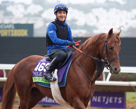 Space Blues<br><br />
Horses and horsemen training toward the Breeders’ Cup at Del Mar on Nov. 2, 2021. 