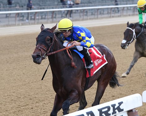 Rockefeller wins the 2021 Nashua Stakes on Sunday, November 7, 2021 at Belmont Park