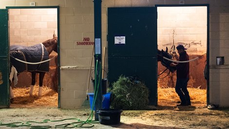 A groom cares for a horse in the barn as preparations continue for the 2021 Breeders’ Cup Wednesday Nov. 3, 2021 at the Del Mar Race Track in San Diego, CA. Photo by Skip Dickstein