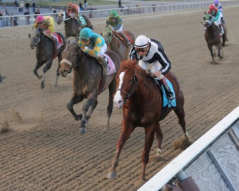 Bustin Stones wins the Carter Handicap at Aqueduct