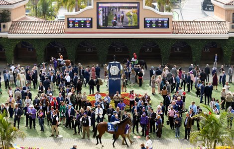 Golden Pal with Irad Ortiz, Jr. wins the Turf Sprint (G1T) at Del Mar on November 6, 2021.