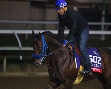 Dr. Schivel Horses and horsemen training toward the Breeders’ Cup at Del Mar on Nov. 1, 2021. 