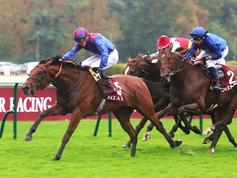 DUBAI HONOUR (IJ Doyle) winning the Prix Dollar (Group 1). ParisLongchamp 02.10.21 Pic: supplied by Hugh Routledge