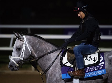 Commandperformance<br><br />
Horses and horsemen training toward the Breeders’ Cup at Del Mar on Nov. 3, 2021.