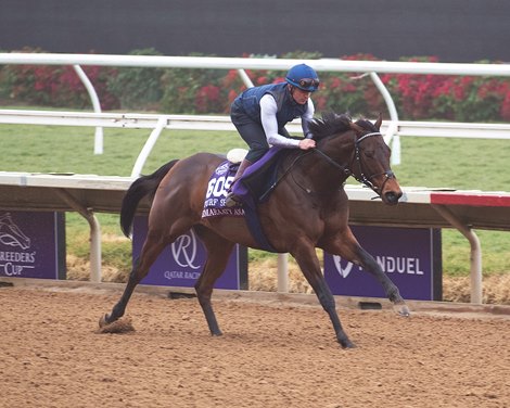 Emaraaty Ana<br><br />
Horses and horsemen training toward the Breeders’ Cup at Del Mar on Nov. 4, 2021. 