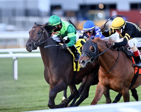 Serve the King wins the Red Smith Stakes Saturday, November 20, 2021 at Aqueduct