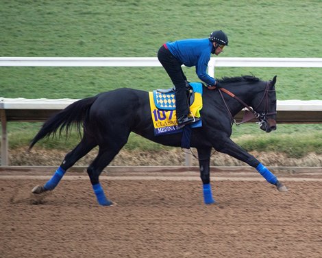 Medina Spirit<br>
Horses and horsemen training toward the Breeders’ Cup at Del Mar on Nov. 2, 2021.