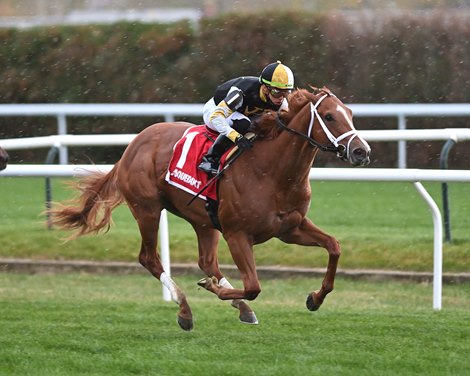 Chanceux - Maiden Win, Aqueduct, November 13, 2021