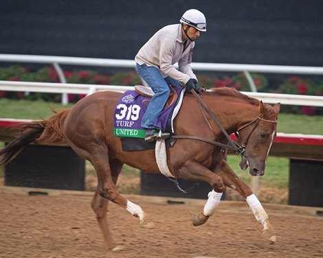 United <br>
Horses and horsemen training toward the Breeders’ Cup at Del Mar on Nov. 1, 2021. 