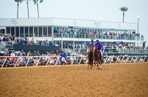 Albahr before the Juvenile Turf (G1T) at Del Mar on November 5, 2021.