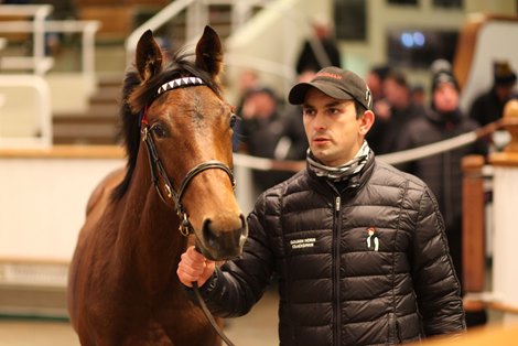Lot 988 Sea The Stars (IRE) / Frankellina (GB) B.F. (GB)      Hascombe & Valiant Stud Ltd.    Blandford Bloodstock    625,000   <br>
Tattersalls December Foal Sale<br>
26/11/21