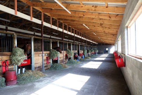 Barn at The Thoroughbred Center